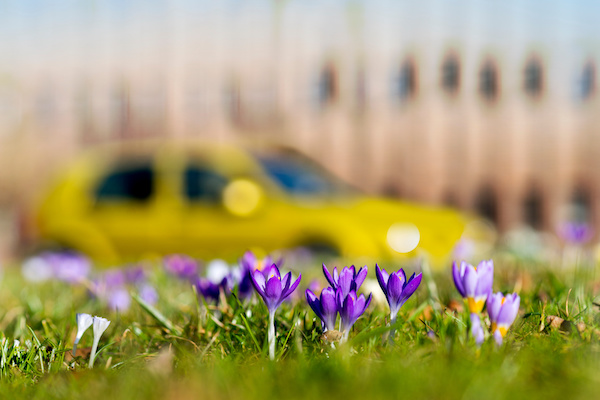 April Is National Spring Car Care Month: Come Celebrate with Us!